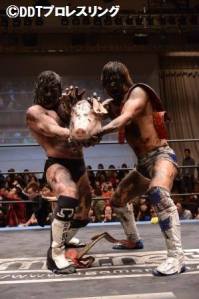 golden-lovers-pig