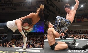 spear-somato-njpw