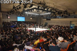 newyearcrowd2015