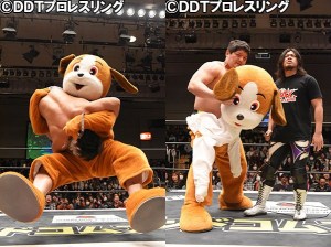 thebigdog