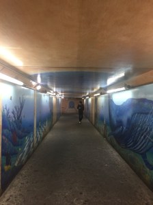 IMG_1874
