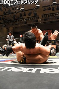 sunflower-bomb-kenso