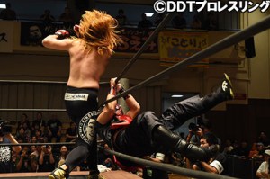 shibata-royale